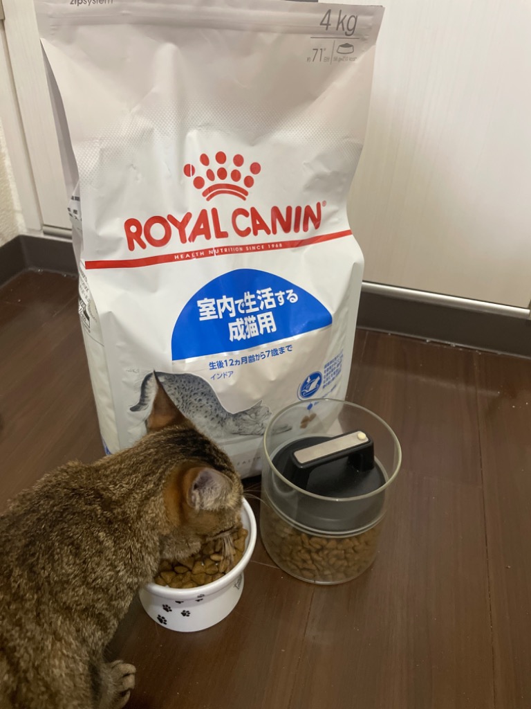 ロイヤルカナン インドア 猫用 4kg (猫・キャット) [正規品 