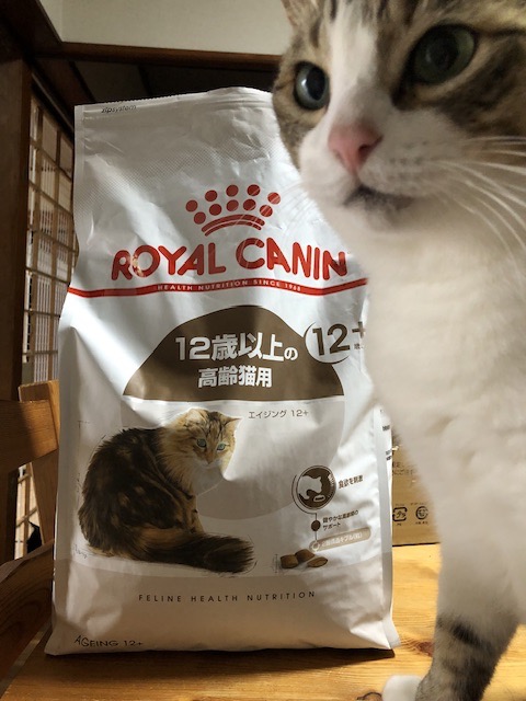 ロイヤルカナン エイジング12+猫用 4kg (猫・キャット) [正規品 