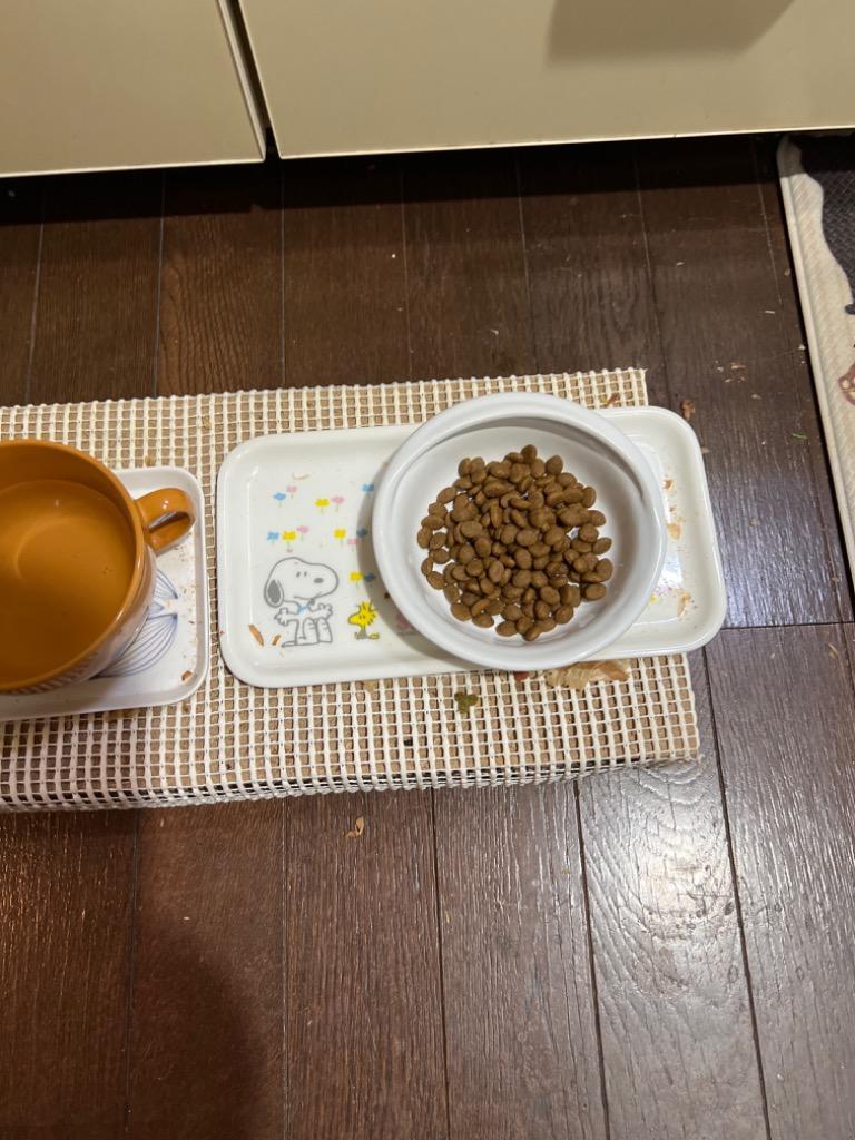 ロイヤルカナン ペルシャ・チンチラ・ヒマラヤン 成猫用 2kg (猫 ロイヤルカナン ペルシャ・チンチラ・ヒマラヤン 成猫用 2kg (猫