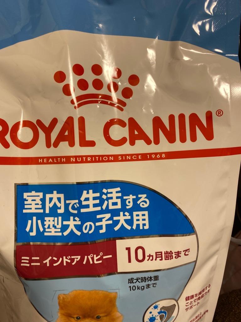 ロイヤルカナン犬 ミニインドアパピー 10キロ ｘ2セット+