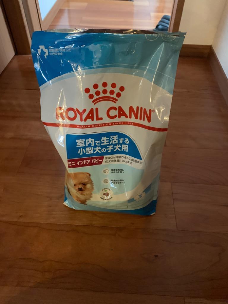 ロイヤルカナン ミニインドアパピー 4kg 子犬 (犬・ドッグ)[正規品