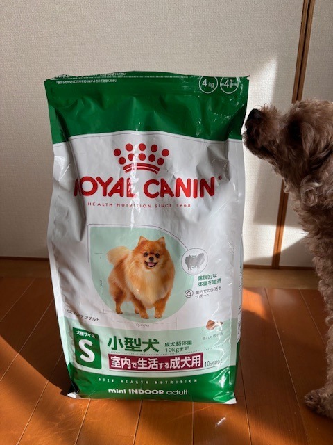 ロイヤルカナン ミニインドアアダルト 4kg (犬・ドッグ) [正規品 ロイヤルカナン ミニインドアアダルト 4kg (犬・ドッグ) [正規品