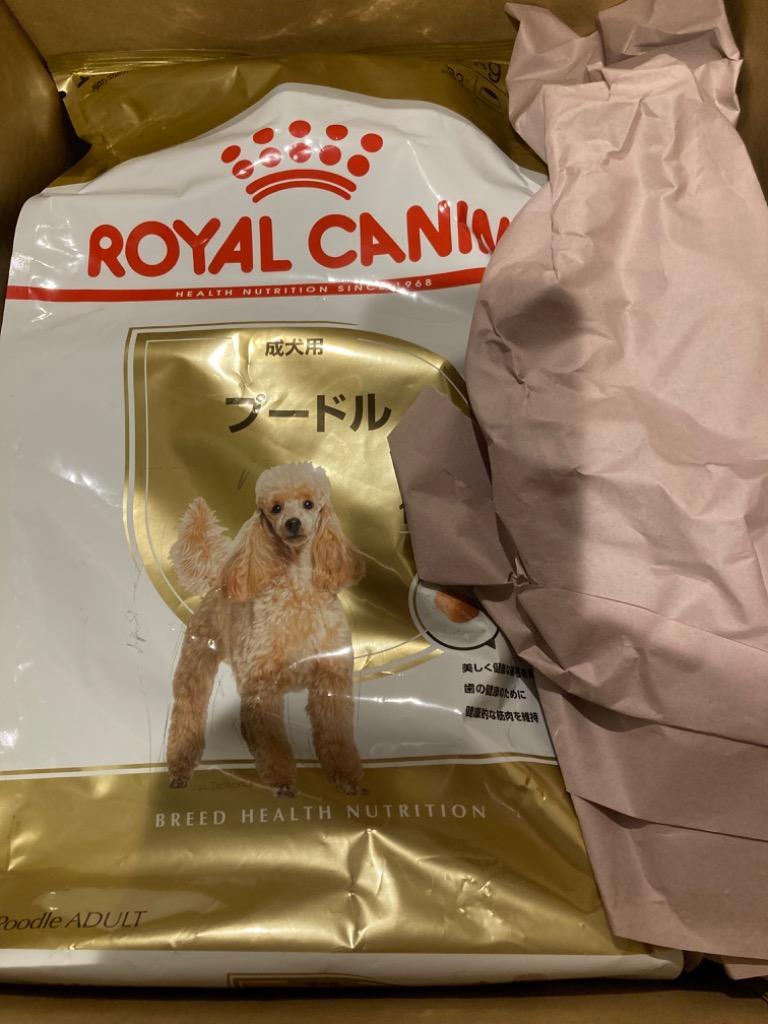 3kg×2袋】ロイヤルカナン プードル 成犬用 (犬・ドッグ) [正規品]