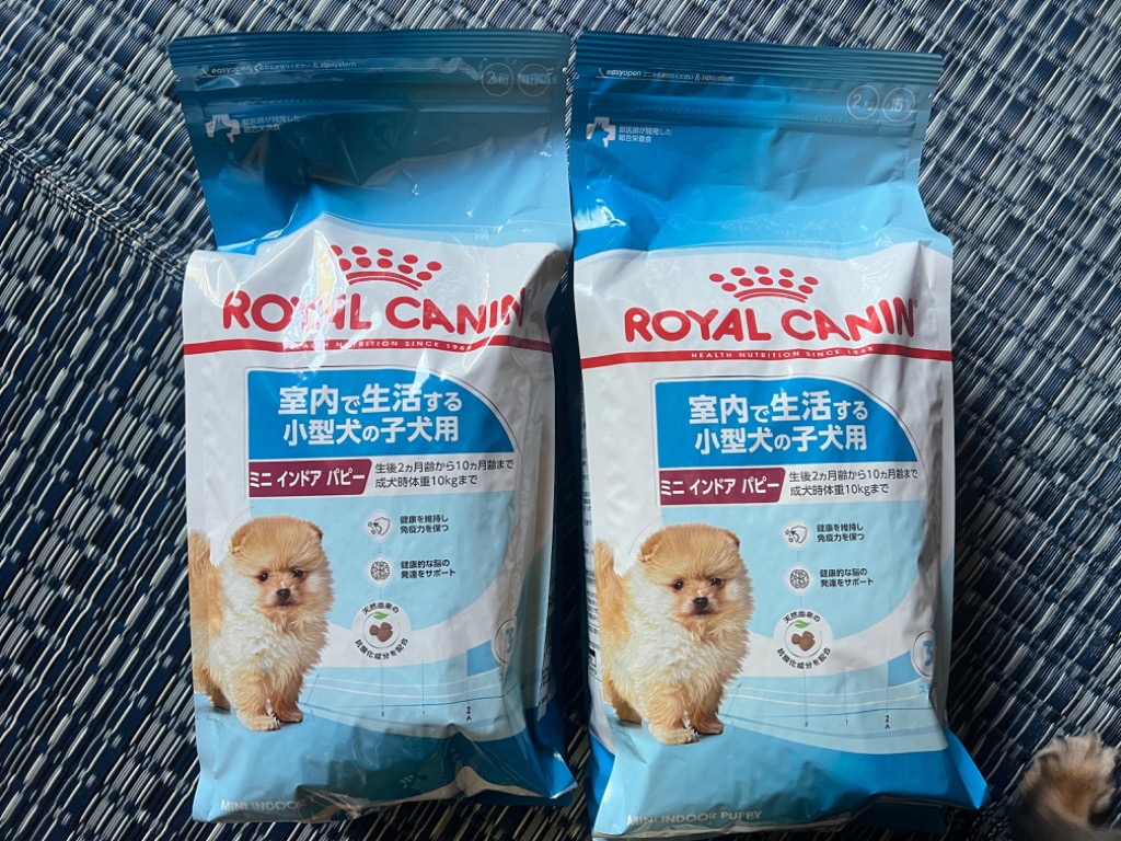 2kg×2袋】ロイヤルカナン 子犬 ミニインドアパピー (犬・ドッグ) [正規 