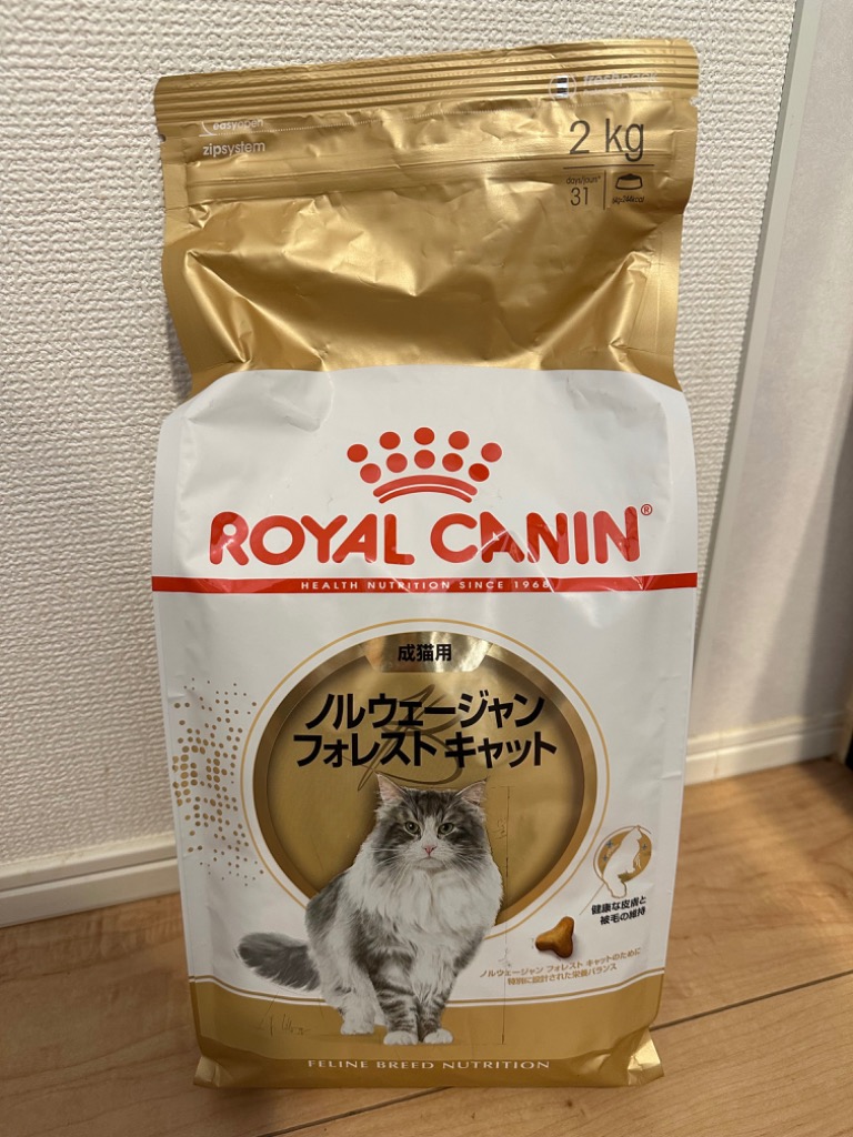 2kg×2袋】 ロイヤルカナン ノルウェージャンフォレストキャット (猫 