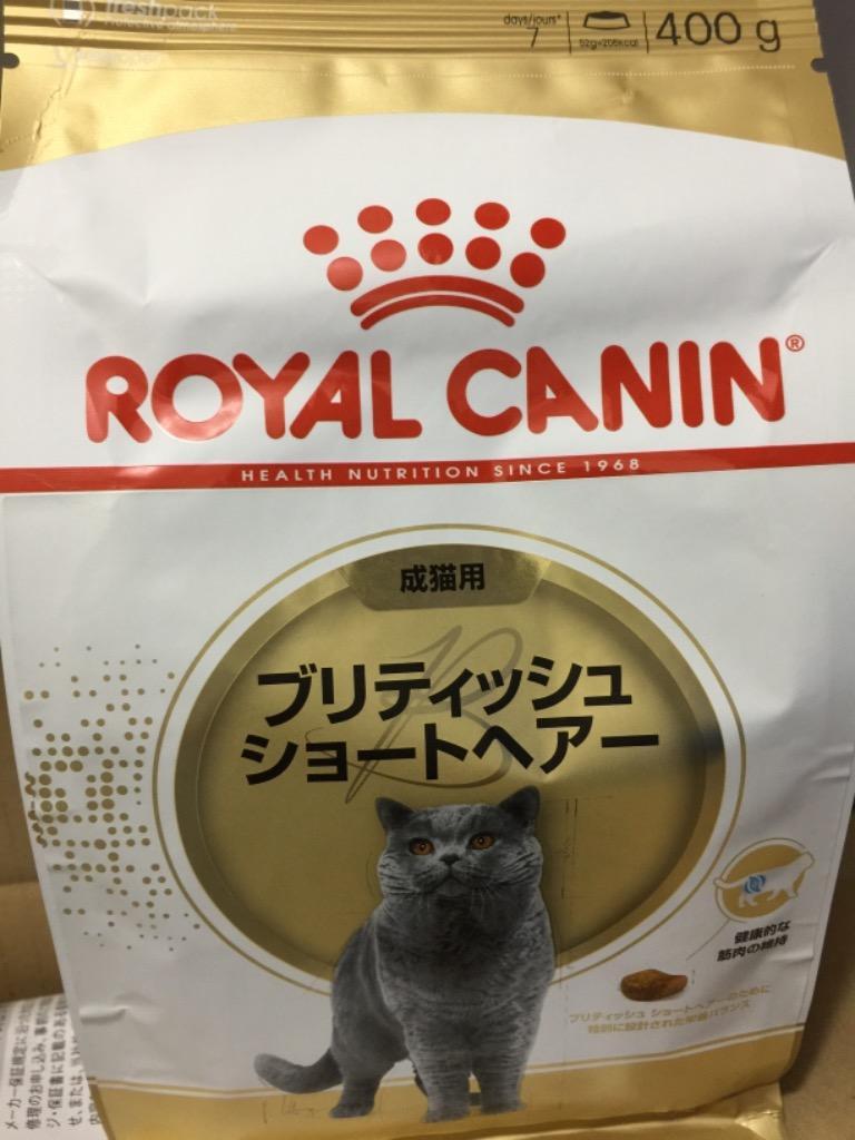 アウトレット☆送料無料】 ロイヤルカナン アメリカンショートヘア 成猫 2kg