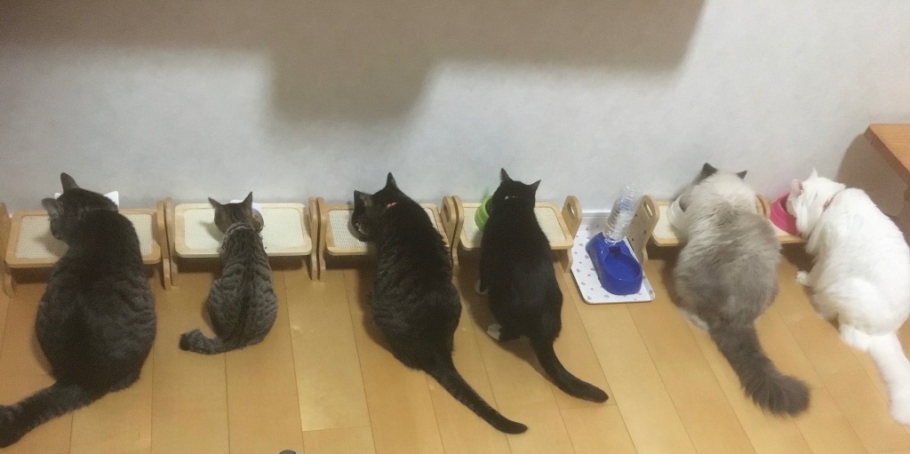 全体のレビュー画像 | 7-0