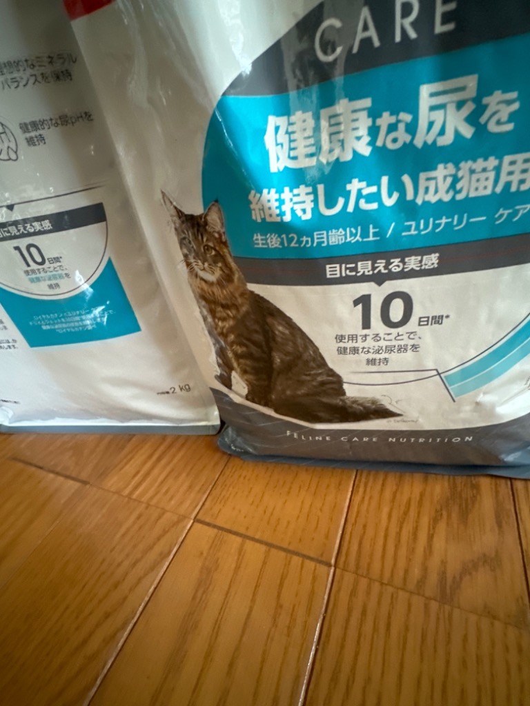 2kg×2袋】ロイヤルカナン ユリナリー ケア (猫・キャット)[正規品 