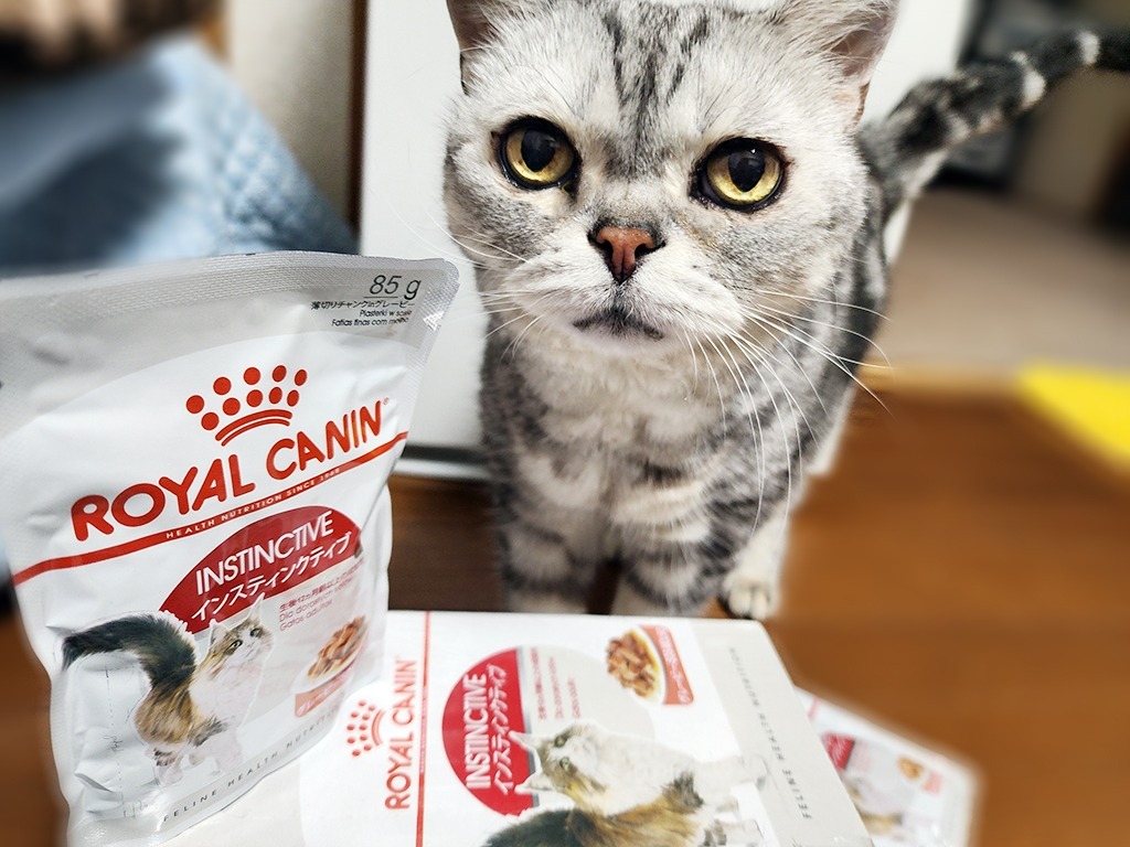  CANIN インスティンクティブ  　グレービー 85g×48袋 ロイヤルカナン 【お得な48個セット】ロイヤルカナン インス
