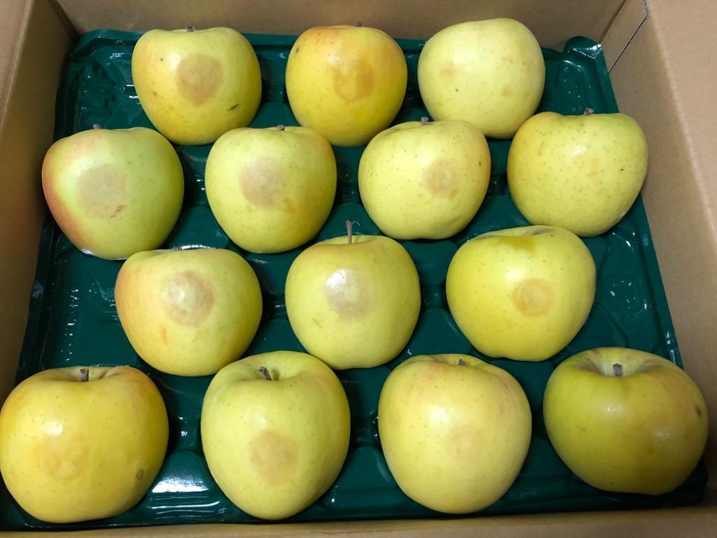 有我果樹園】りんご 大玉 5kg 12〜14個 ぐんま名月 フジ 等 贈答用 
