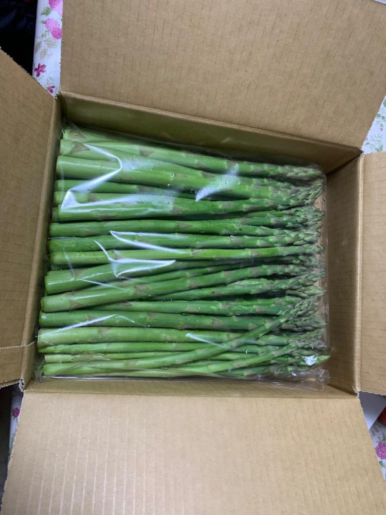 全体のレビュー画像 | 3-0