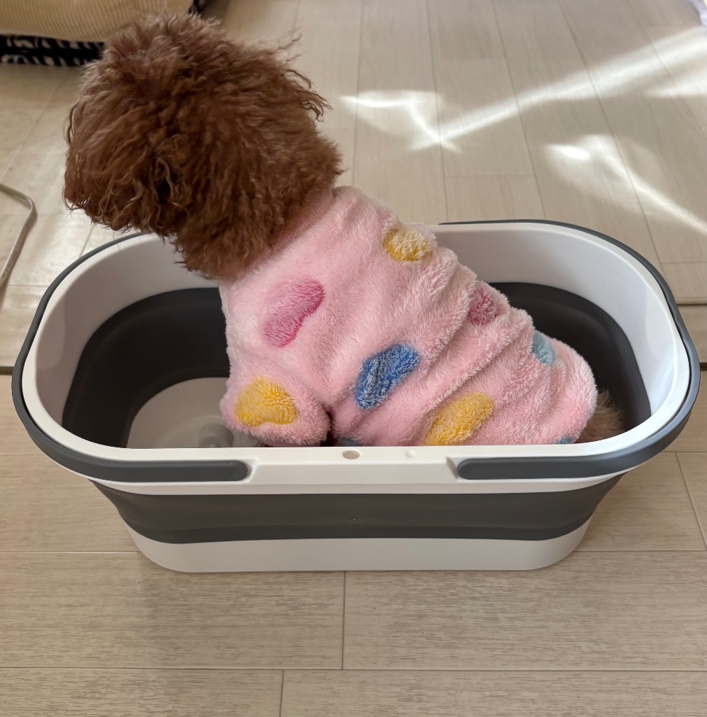 全体のレビュー画像 | 0-0