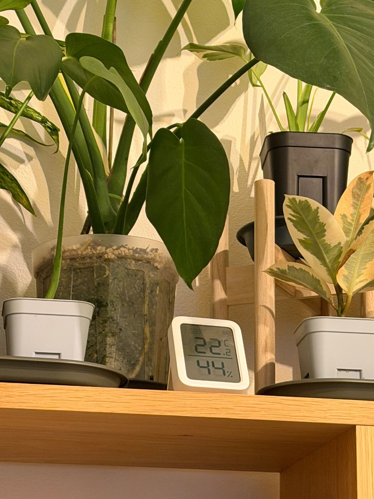 1件目のレビュー画像 | 0