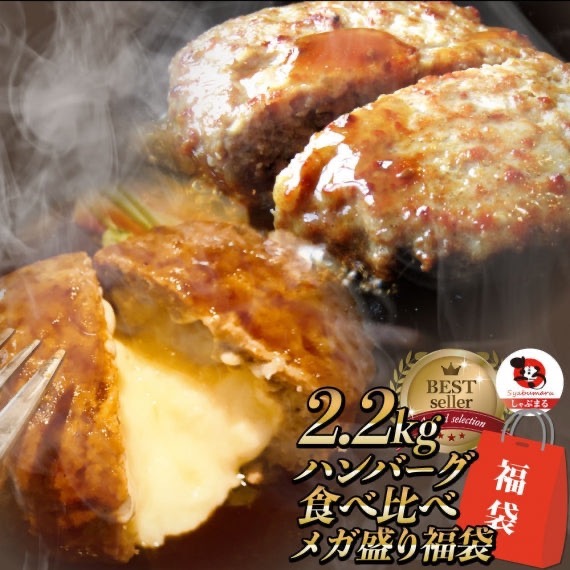 福袋 ハンバーグ 食べ比べ 豪華 メガ盛り 2.2kg 2種セット (プレーン