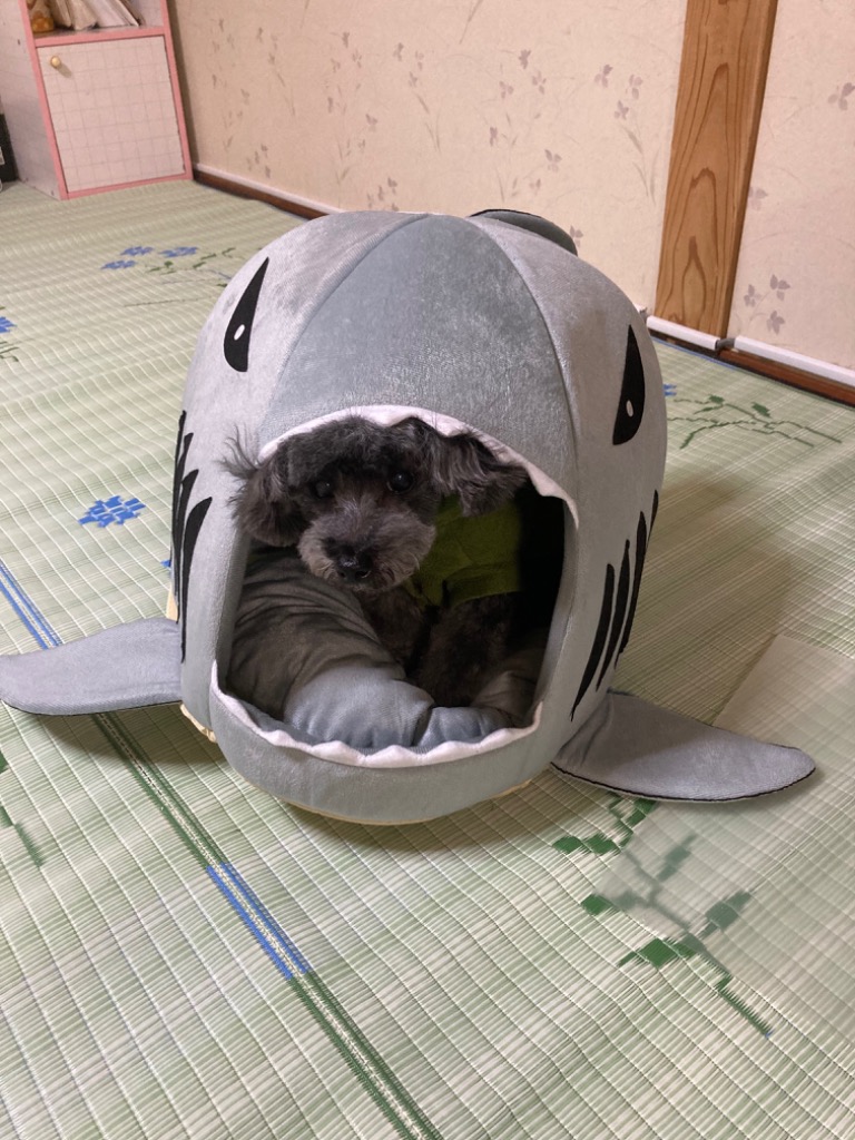 レビュー画像