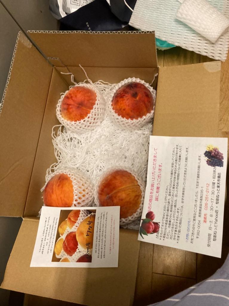 限定 長野県産ワッサー特大5.5キロ2箱 長野県産 ワッサー 約2kg 送料無料 桃 希少品種 : 旬彩ねっと