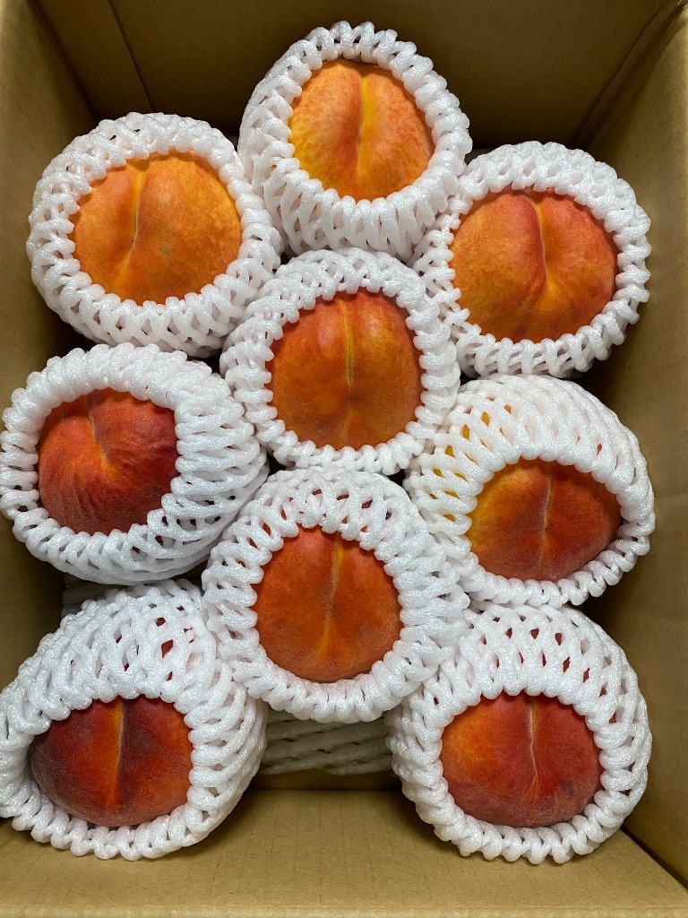 長野県産 ワッサー 約2kg 送料無料 桃 希少品種 : 旬彩ねっと