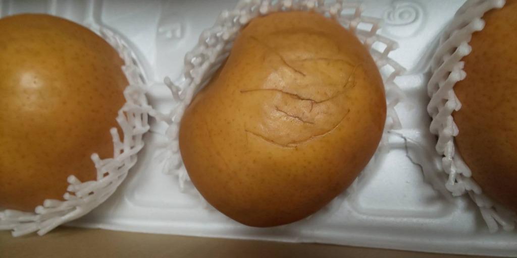 梨 愛宕梨 中野農園 あたご梨 5kgセット 秀品進物用：5-12玉入り