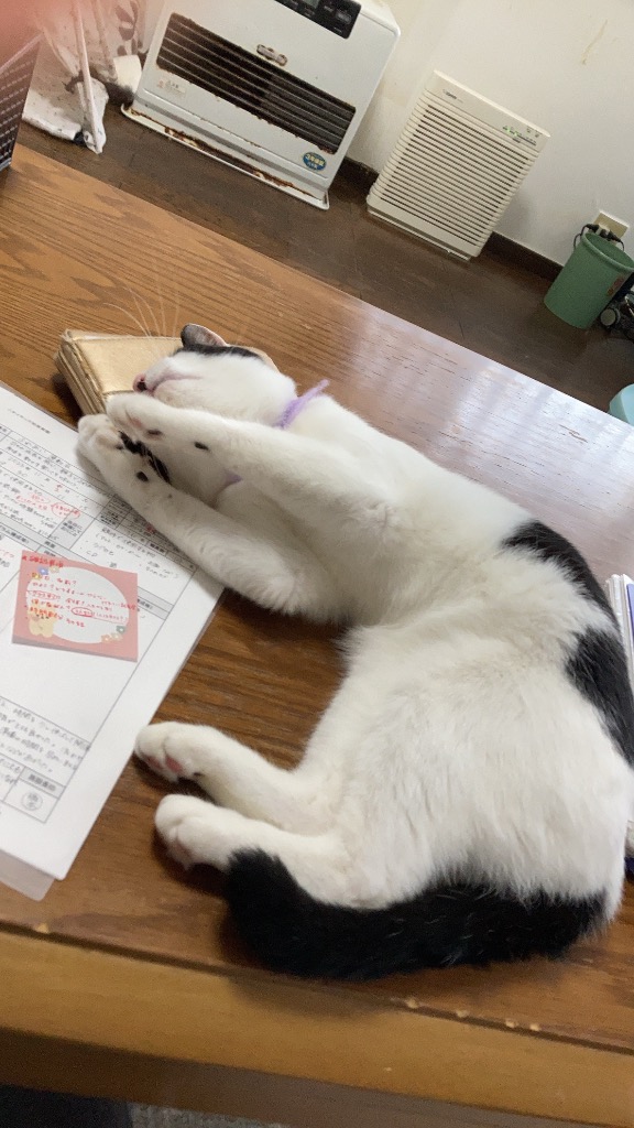 レビュー画像
