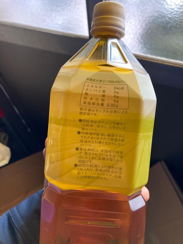 新色追加して再販 緑茶2L×12本 鹿児島産茶葉100％使用 トライアルカンパニープライベートブランド お茶 ペットボトル zigamacss.rw