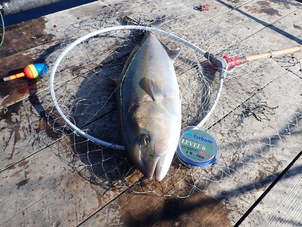 練餌海道 冷凍エサ 海上釣堀 一撃の青物 ドラキュラ ☆ポイント全額払い不可 850076 :850076:フィッシングショップTポート - 通販 -  Yahoo!ショッピング