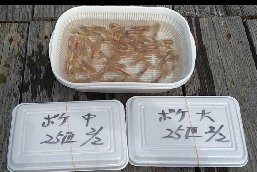 2件目のレビュー画像 | 0