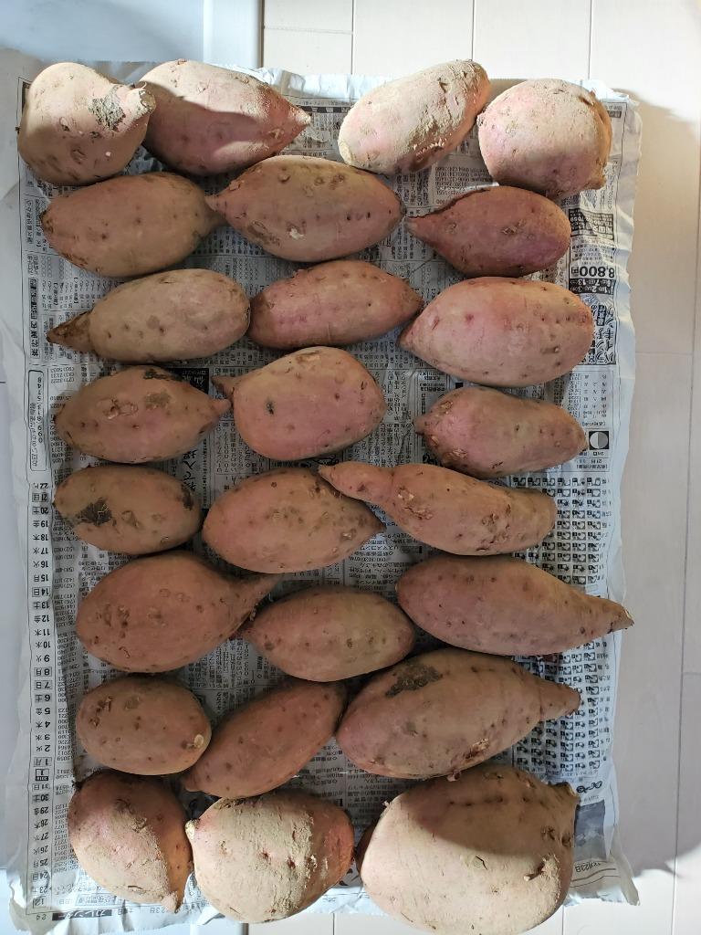 全体のレビュー画像 | 0-2