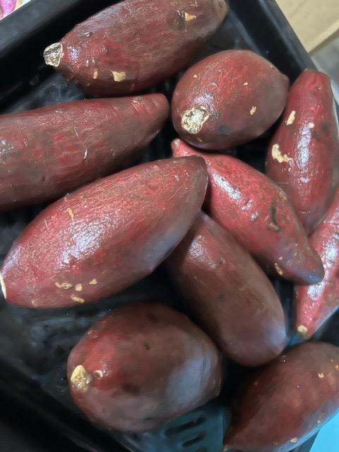 1件目のレビュー画像 | 1