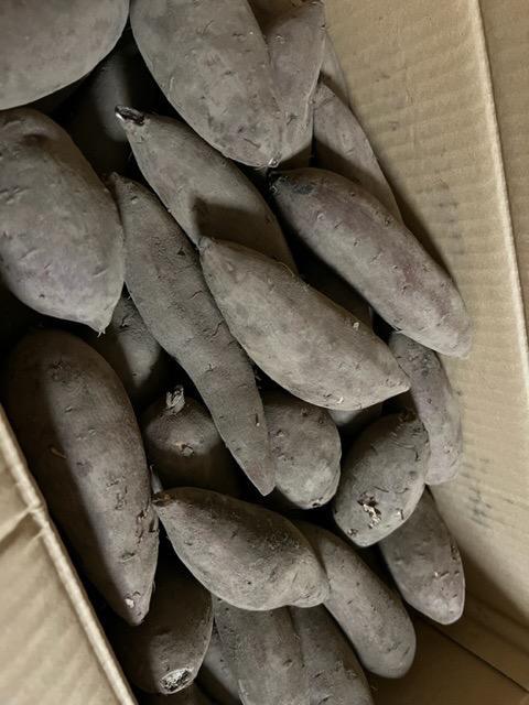 1件目のレビュー画像 | 0