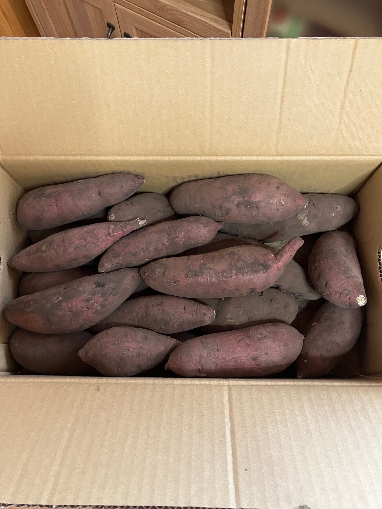 全体のレビュー画像 | 0-1