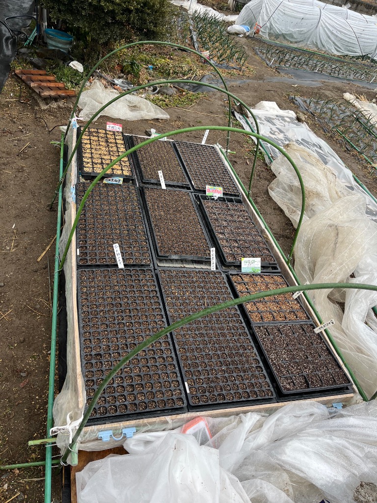 1件目のレビュー画像 | 1