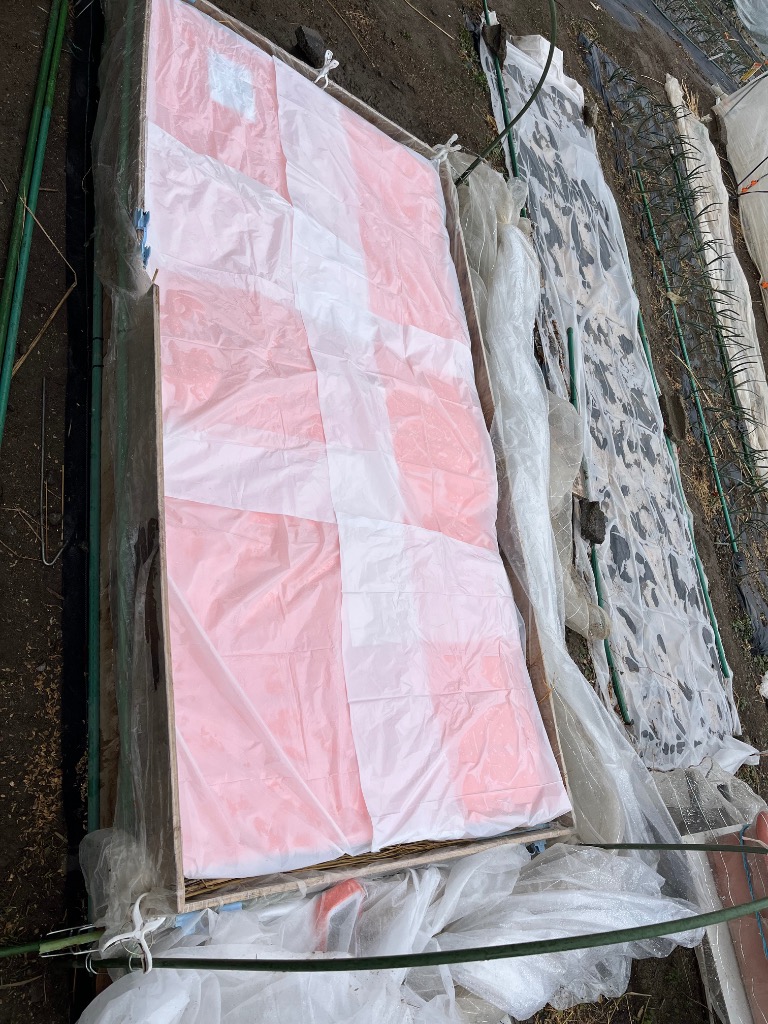 1件目のレビュー画像 | 0