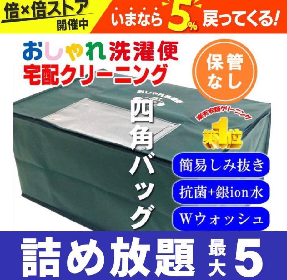 クリーニング 宅配 詰め放題 5点まで 仕上がり次第発送 衣替え 新生活 送料無料 シミ抜き タカケン