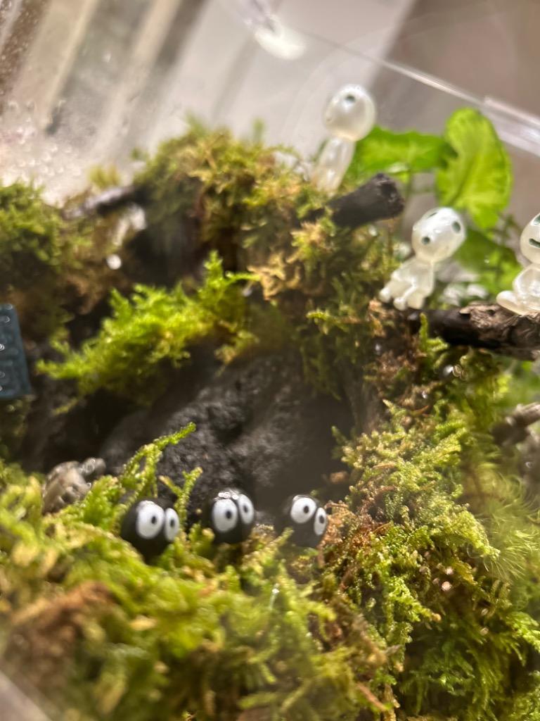 ミニチュア 妖精 5個 テラリウム フィギュア 動物 コケリウム ジオラマ