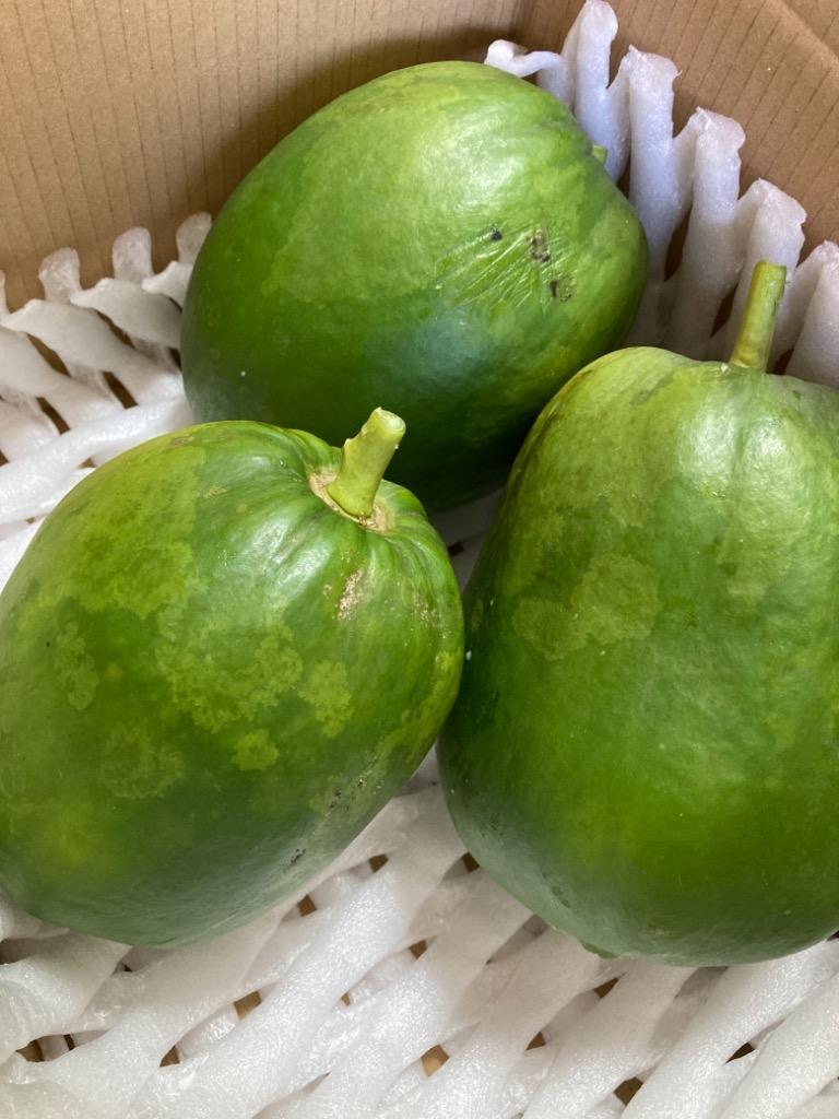 千葉県富津市産 青パパイヤ 約2kg（2〜4玉）酵素 ダイエット 腸活 野菜