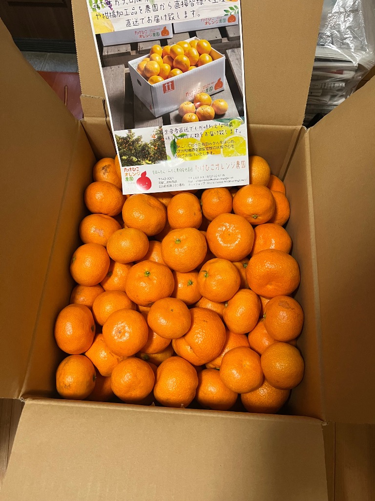 全体のレビュー画像 | 1-0