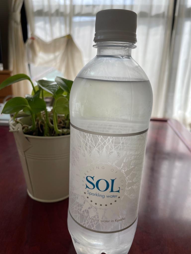 炭酸水 500ml 24本 シリカ炭酸水 最安 SOL ソール天然水仕込み ペット 