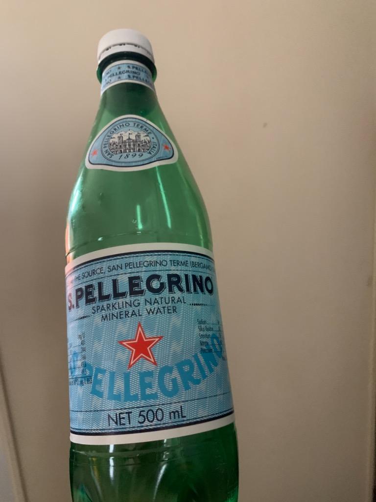 サンペレグリノ 炭酸水 500ml 48本 送料無料 強炭酸 セット San Pellegrino まとめ買い 最安値  :9414005:くらしの宅配便 - 通販 - Yahoo!ショッピング