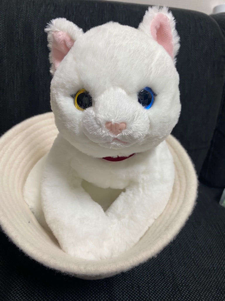 サンレモン ひざねこ M ミケ/オッドアイWH/GY/BR/BK/サバシロ