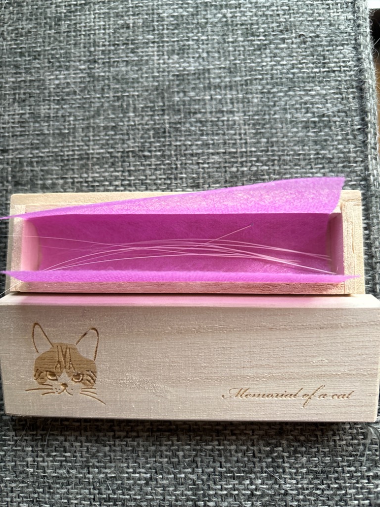 猫のひげケース レギュラーサイズ 桐製 ヒゲ 髭 ネコ ねこのお宝