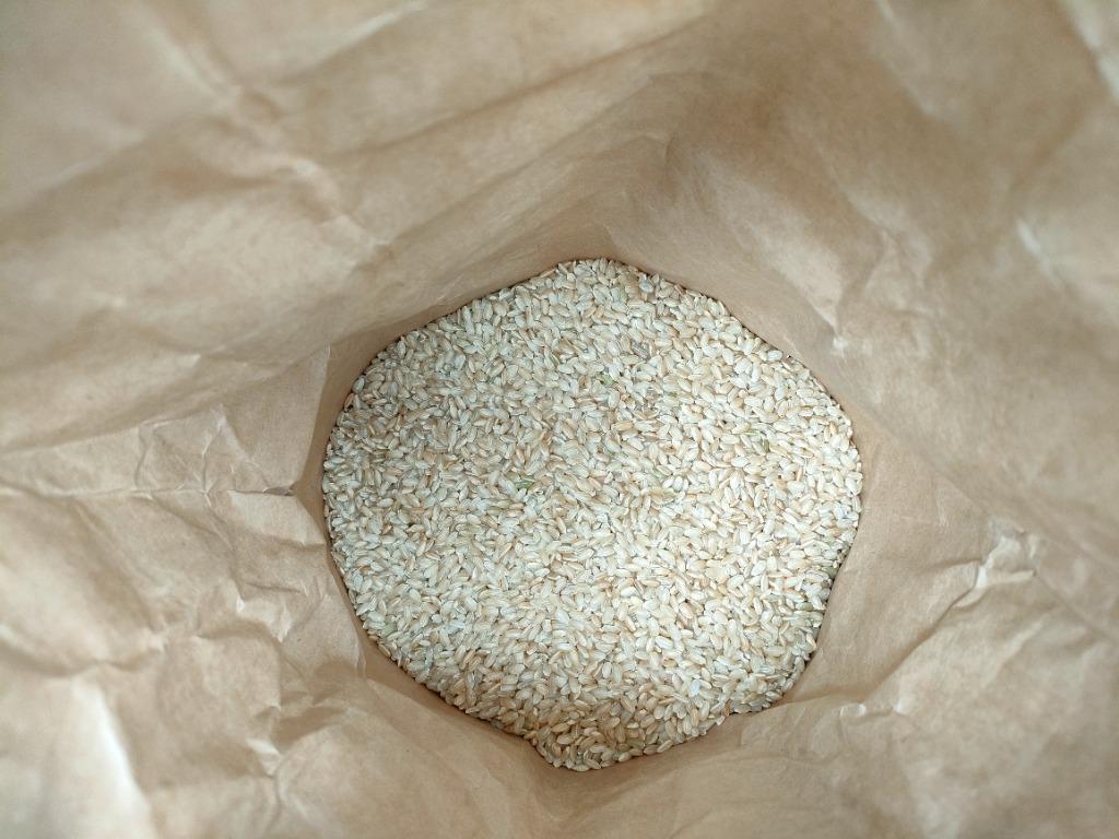 蛇紋岩 特別栽培米 八木川米 新米 2023 令和５年産 命の壱 有機 肥料