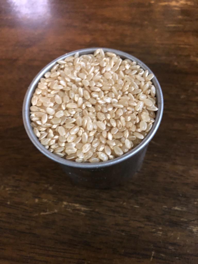 新米コシヒカリ玄米約1キロ 牛さん農法 ヤギ農法 化成肥料不使用