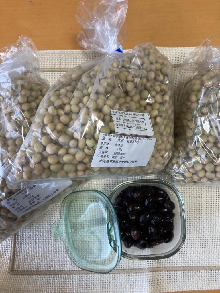 無農薬 無化学肥料 大豆 渡部信一さんの大豆（約1kg×3袋