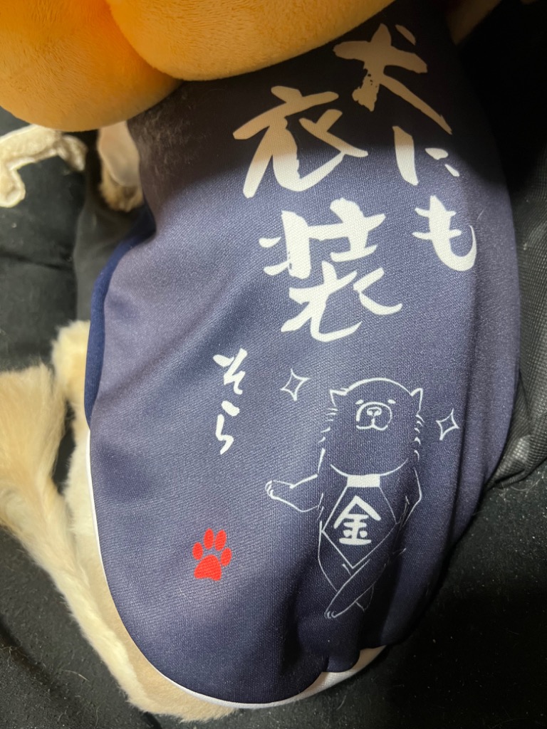 1件目のレビュー画像 | 0