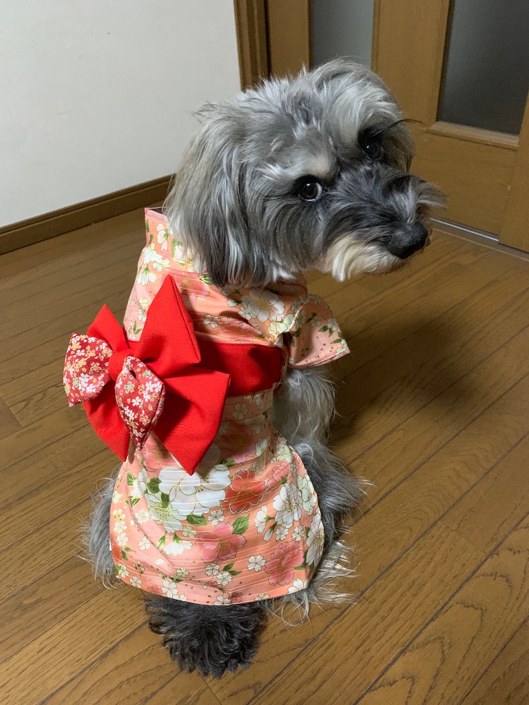 1件目のレビュー画像 | 0