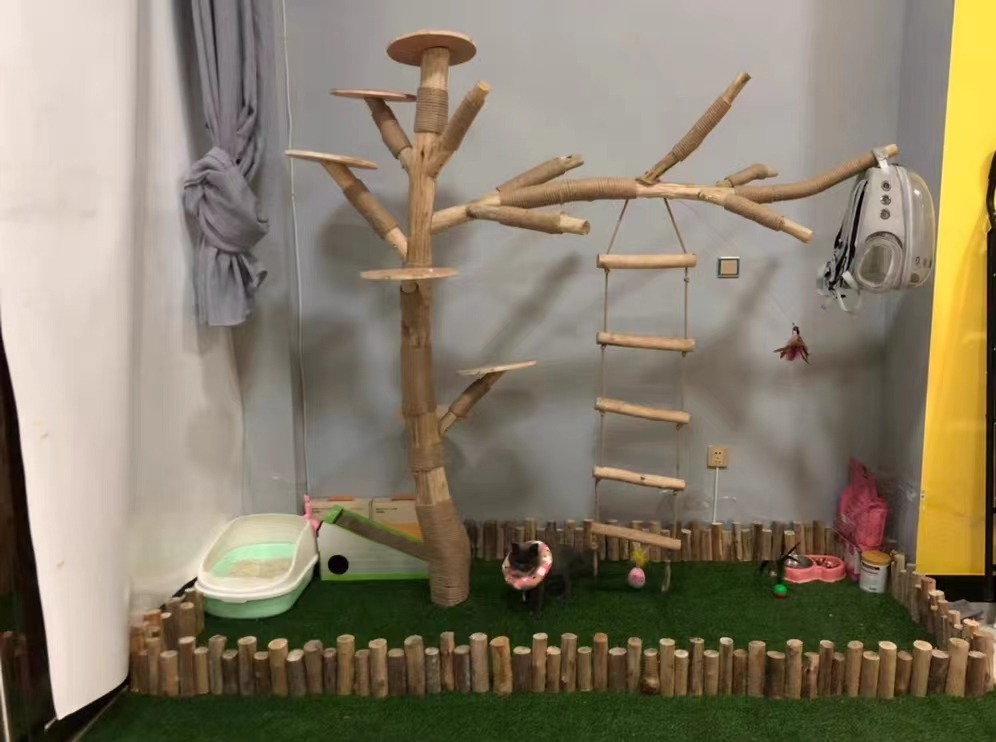 キャットタワー 木製 猫の木 猫登山 猫の活動ツリー 無垢材 猫の キャットタワー 木製 猫の木 猫登山 猫の活動ツリー 無垢材 猫の