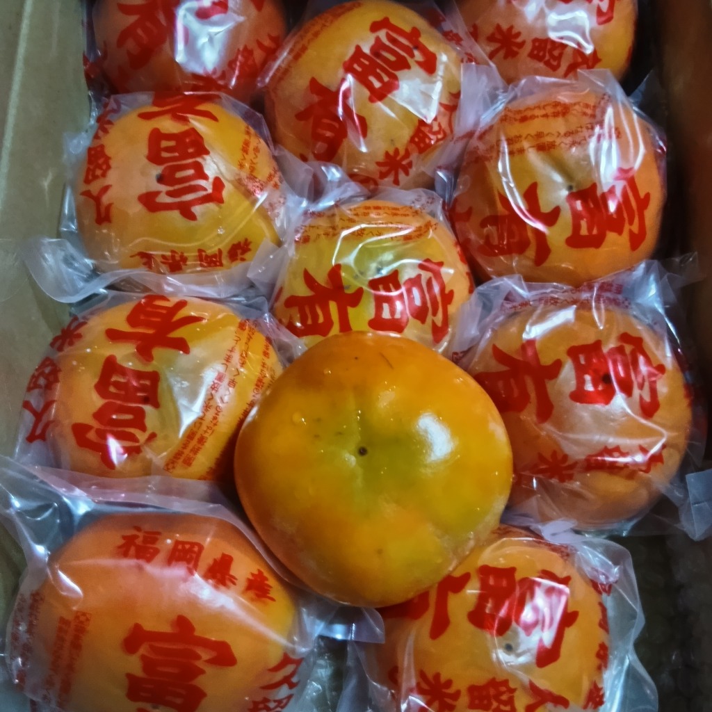 富有柿・早生富有柿 福岡県・九州各県産 1ケース 約2.5kg