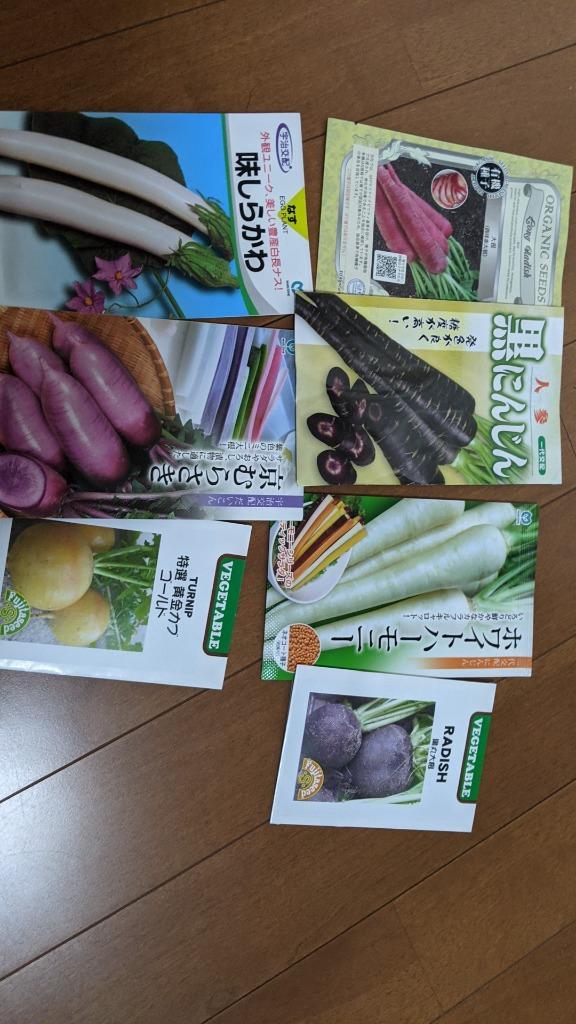 クリアランスsale!期間限定! ゴールド 野菜 藤田種子 特選黄金カブ タネ 種 根菜、豆類、もやし