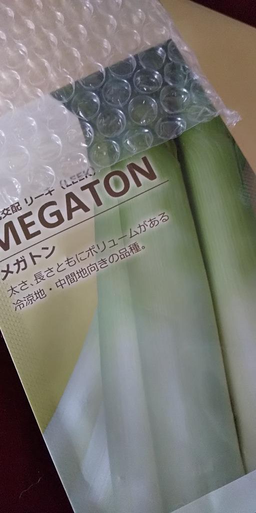 丸種 リーキ MEGATON (メガトン) 小袋 :marutane-0367:種苗・園芸ショップ 種もり - 通販 - Yahoo!ショッピング