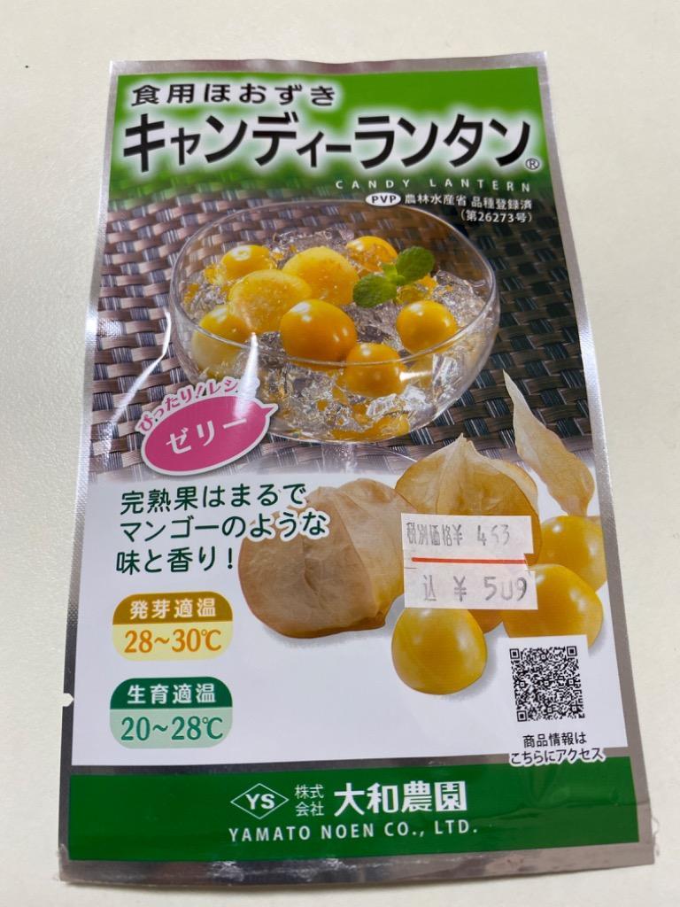 上質で快適 食用ホオズキ(キャンディーランタン) - linsar.com